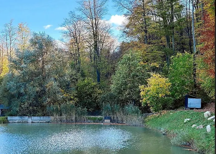 Orlyne GnizdoГотель